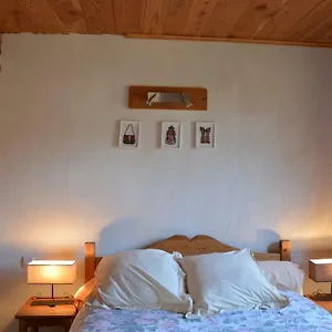 Joli Rez De Jardin Plein Sud Appartement